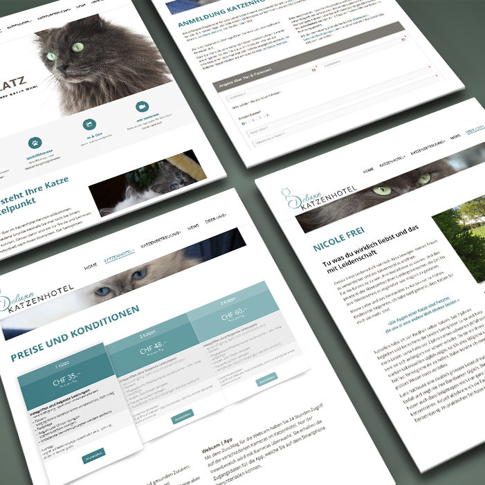 Webseite Deluxe Katzenhotel