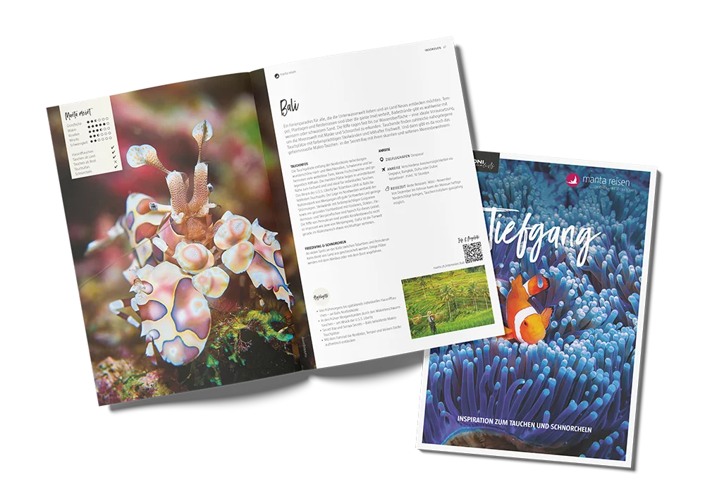 Tiefgang Katalog Manta Tiefgang Katalog Manta