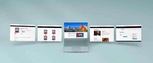 Emma von Zermatt Website